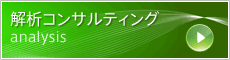 解析コンサルタント